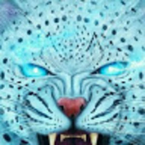 Meet your Posher, Frank